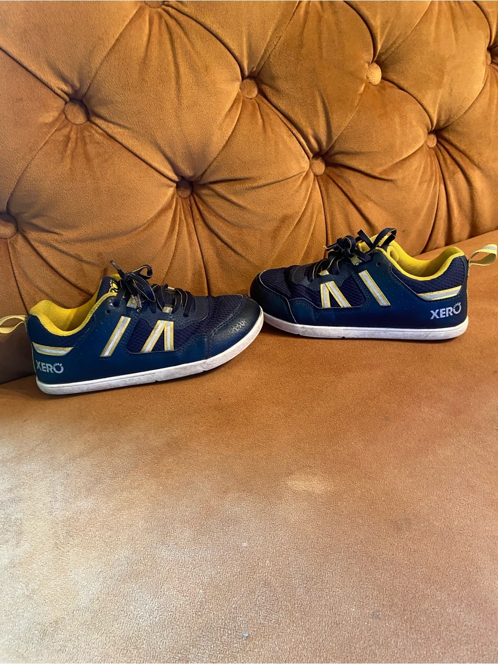 Xero Kids Prio Navy and Yellow Low-Top Sneakers